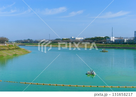 埼玉県久喜市権現堂川沿い2025年10月 131658217