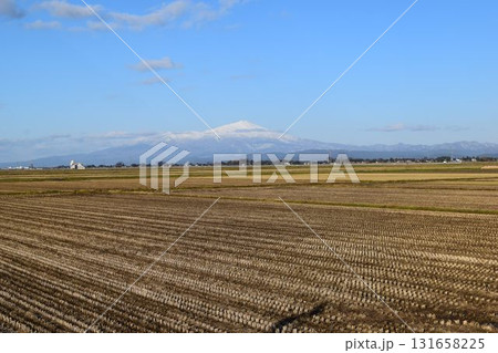 秋の田園風景 山形県庄内 131658225
