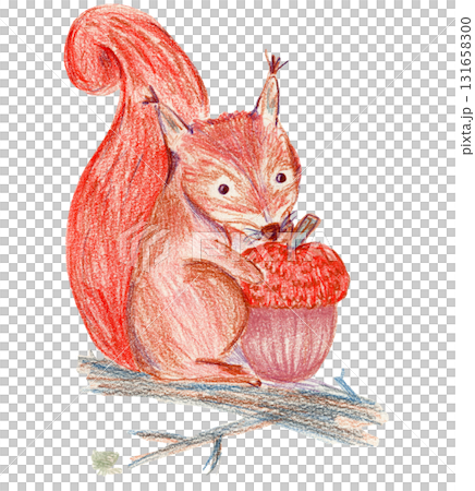 Cute crayon pencils textured hand drawing orange red squirrel illustration. Lovely wood forest animal with acorn nut on branch for kids print design, textile decor, greeting cards, stickers 131658300