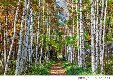 北海道 旧士幌線跡 131658374