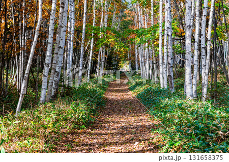 北海道 旧士幌線跡 北海道 旧士幌線跡 131658375