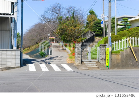 埼玉県幸手市権現堂公園周辺2025年10月 131658486