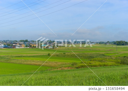 埼玉県春日部市庄和の風景2025年10月 131658494