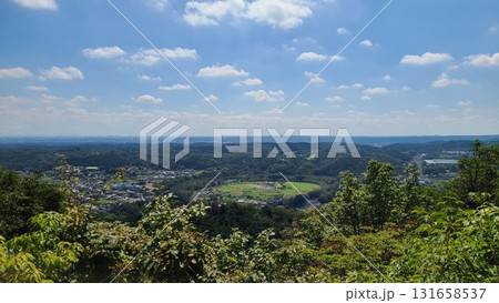 巾着田 巾着田 131658537