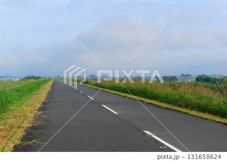 江戸川サイクリングロード右岸2025年10月 江戸川サイクリングロード右岸2025年10月 131658624
