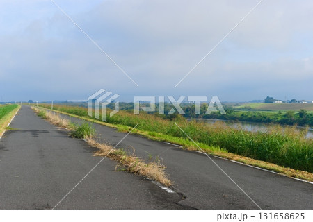 江戸川サイクリングロード右岸2025年10月 江戸川サイクリングロード右岸2025年10月 131658625