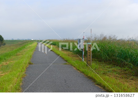 江戸川サイクリングロード右岸2025年10月 江戸川サイクリングロード右岸2025年10月 131658627