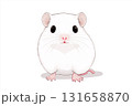 Cute white rodent illustration of a small fluffy mouse and adorable tiny furry cartoon animal 131658870
