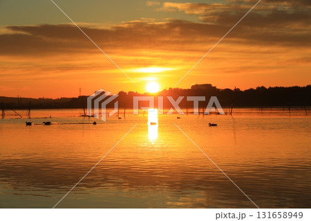 水面に映る朝焼け 131658949