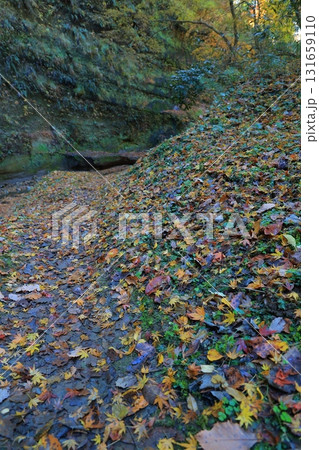 秋の養老渓谷の風景 131659110