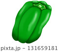 ピーマンのイラスト 131659181