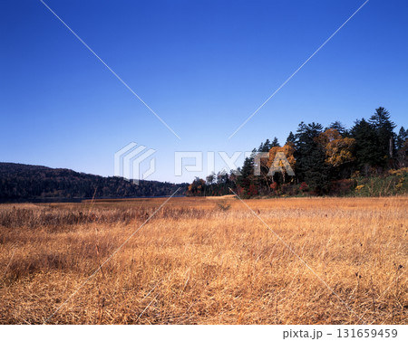 草紅葉の尾瀬ヶ原 131659459