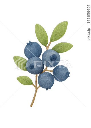 ブルーベリーの水彩イラスト(透過) / Watercolor Blueberry Branch (T ブルーベリーの水彩イラスト(透過) / Watercolor Blueberry Branch (T 131659495
