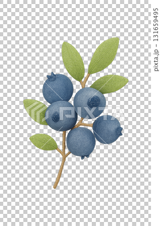 ブルーベリーの水彩イラスト(透過) / Watercolor Blueberry Branch (T ブルーベリーの水彩イラスト(透過) / Watercolor Blueberry Branch (T 131659495