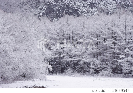 霧氷の輝き 霧氷の輝き 131659545