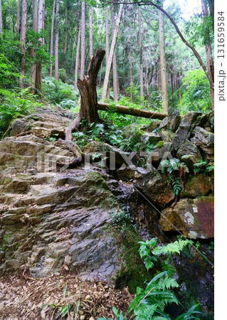 9319 日和田山 男坂登山道 9319 日和田山 男坂登山道 131659584