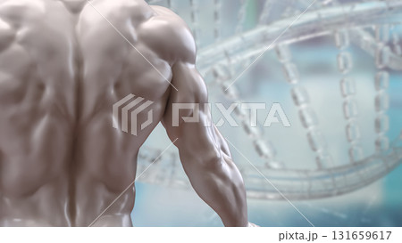 The Human Body for Science or medical concept 3d Rendering. 131659617