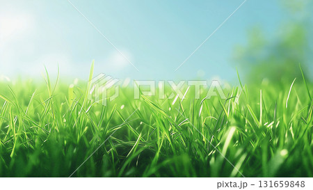 青々とした草が生い茂る大地 131659848