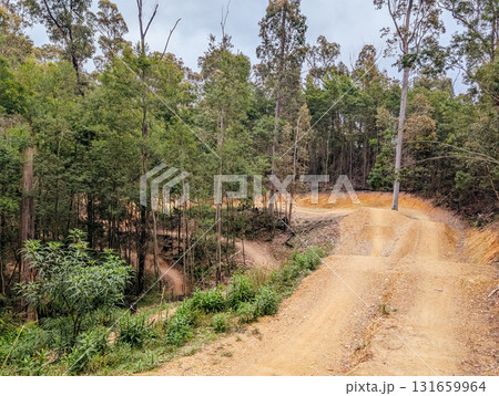 Mogo Mountain Bike Park in Australia Mogo Mountain Bike Park in Australia 131659964