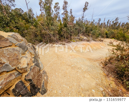 Mogo Mountain Bike Park in Australia 131659977