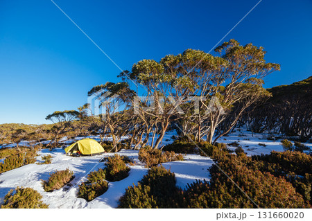 Mt St Gwinear Snow Camping in Australia 131660020