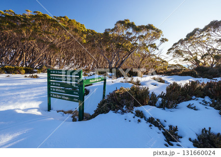Phillack Saddle in Baw Baw Australia 131660024