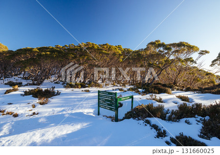 Phillack Saddle in Baw Baw Australia 131660025