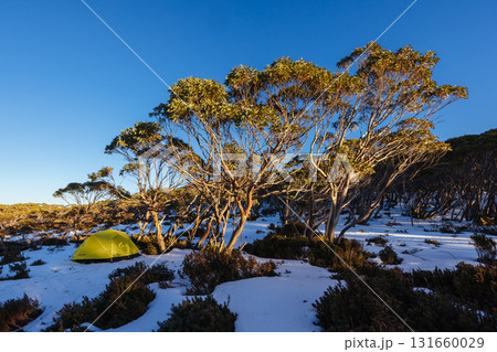 Mt St Gwinear Snow Camping in Australia 131660029