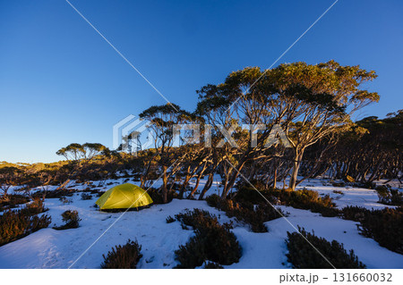 Mt St Gwinear Snow Camping in Australia 131660032