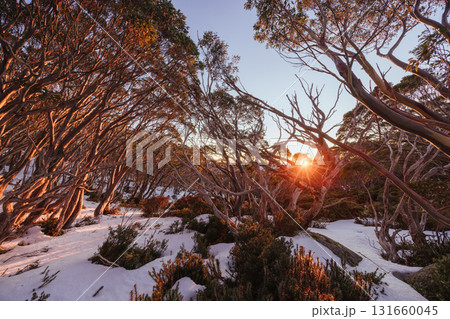 Mt St Gwinear Sunrise in Australia Mt St Gwinear Sunrise in Australia 131660045