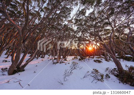Mt St Gwinear Sunrise in Australia Mt St Gwinear Sunrise in Australia 131660047
