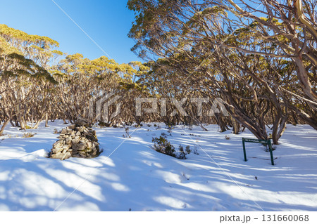 Mt St Phillack in Baw Baw Shire Australia Mt St Phillack in Baw Baw Shire Australia 131660068
