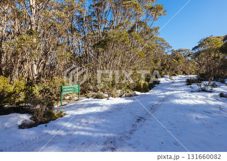 Mt St Gwinear in Baw Baw Shire Australia Mt St Gwinear in Baw Baw Shire Australia 131660082
