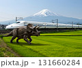 迫力満点！リアルな草食恐竜アルゼンチノサウルスの生態シーン 131660284