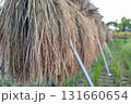 稲刈り後の風景 131660654