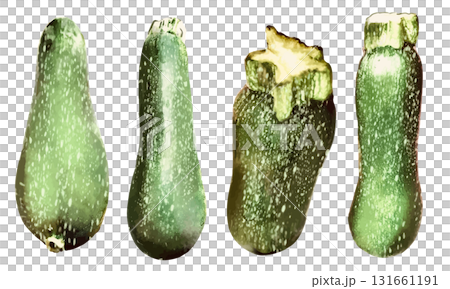 用水彩畫的西葫蘆插圖 131661191