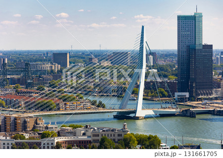 Erasmus cable-stayed Bridge crossing Nieuwe Maas in center of Rotterdam Erasmus cable-stayed Bridge crossing Nieuwe Maas in center of Rotterdam 131661705