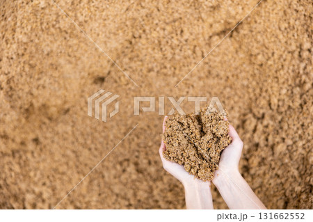 Handful of beer bagasse in hands of female farmer Handful of beer bagasse in hands of female farmer 131662552