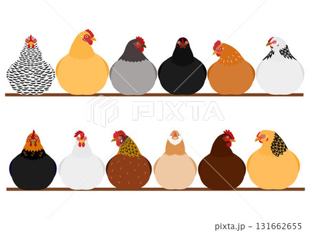 とまり木で休んでいるニワトリのセット とまり木で休んでいるニワトリのセット 131662655