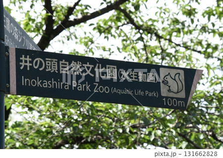 井の頭公園　道案内標識 131662828
