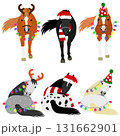 クリスマスのコスチュームをした馬のグループ クリスマスのコスチュームをした馬のグループ 131662901