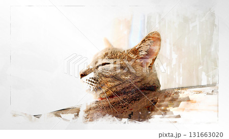 スケッチ風 猫 ネコ ねこ キジトラ グレー 雌 メス 雌ねこ 雌ネコ 元気 かわいい 癒し 131663020