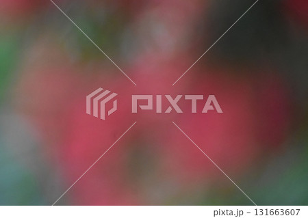 赤いブラシの花をぼかした背景素材 131663607
