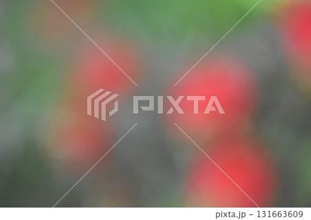 赤いブラシの花をぼかした背景素材 131663609