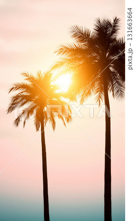 Two palm trees in the light of the setting sun Two palm trees in the light of the setting sun 131663664