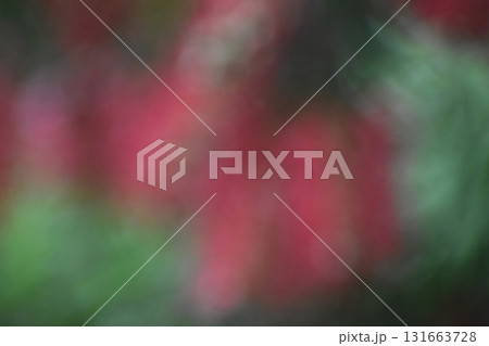 赤いブラシの花をぼかした背景素材 131663728