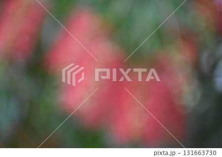 赤いブラシの花をぼかした背景素材 131663730