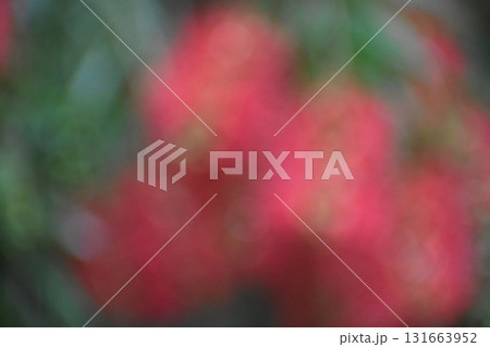 赤いブラシの花をぼかした背景素材 131663952
