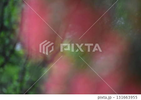 赤いブラシの花をぼかした背景素材 131663955