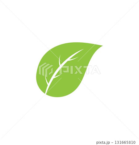 Logos of green Tree leaf ecology nature element vector Logos of green Tree leaf ecology nature element vector 131665810